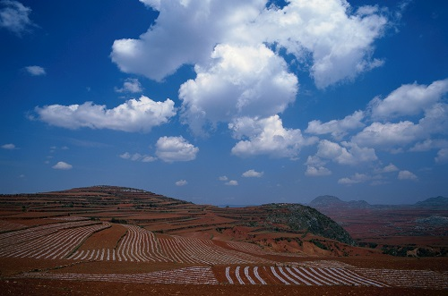 1645587858110231.png image.png