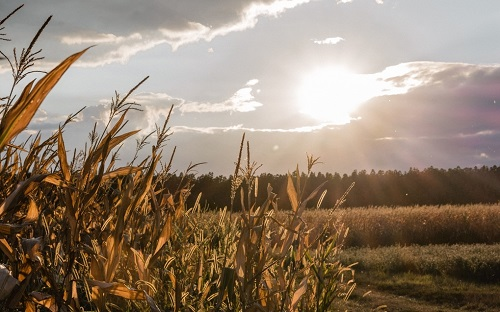 1648624428161465.png image.png