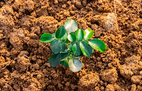 1650598585326108.png image.png