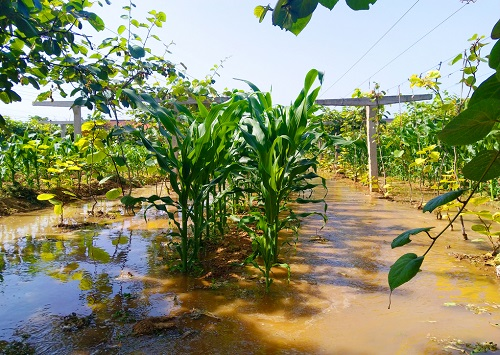 1651038196127335.png image.png