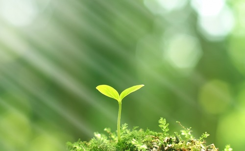 1651815579634928.png image.png