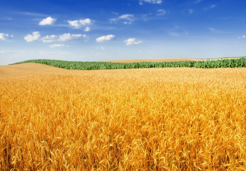 1652162460112792.png image.png