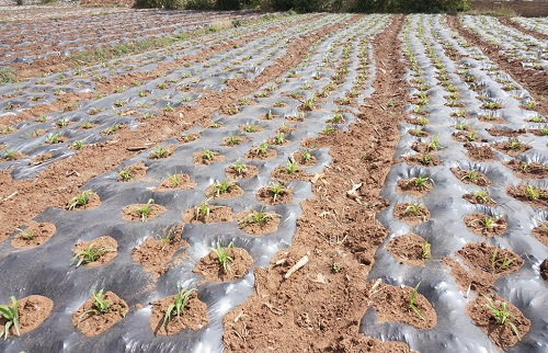 1653275169117200.png image.png