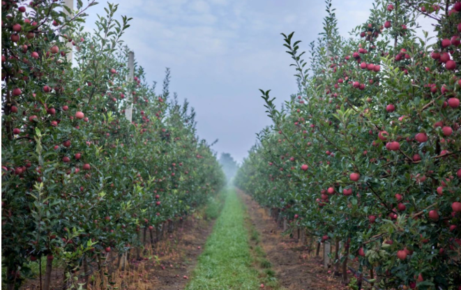 1653456426194965.png 1653456426194965.png