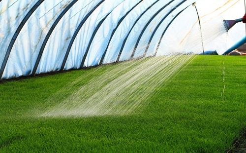 1655433686491505.png image.png