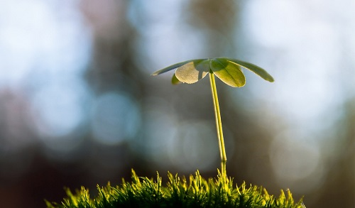 1656472279841456.png image.png