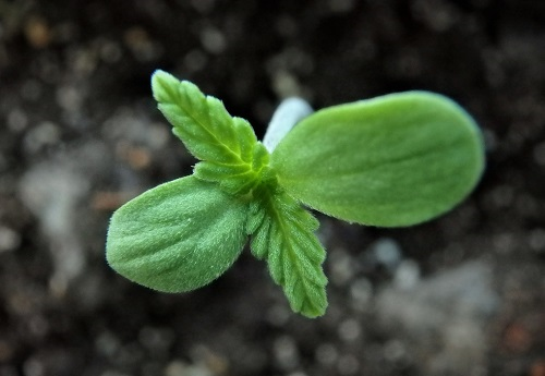 1656644003109083.png image.png