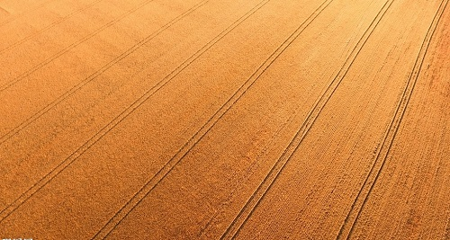 1657078784271646.png image.png