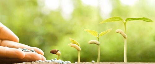 1658720289670098.png image.png