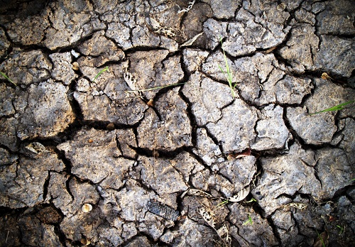 1660545632489632.png image.png