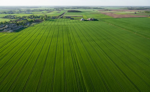 1662104454283683.png image.png