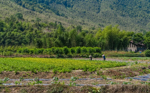 1662521019497687.png image.png