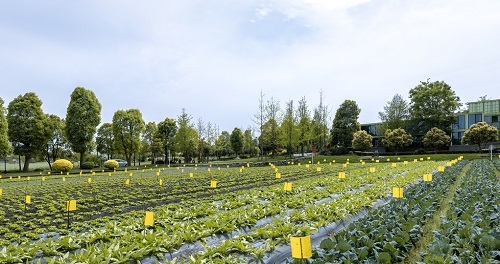 1663220333654957.png image.png