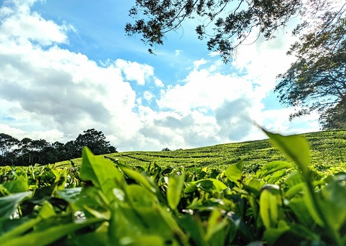 1666753034993651.png image.png