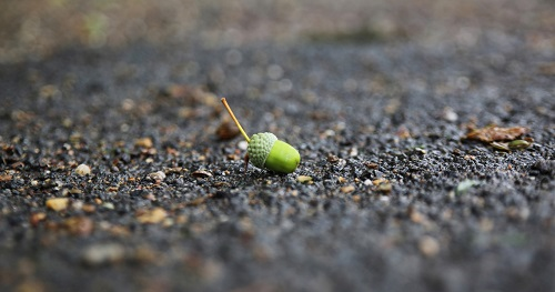 1666839712780054.png image.png