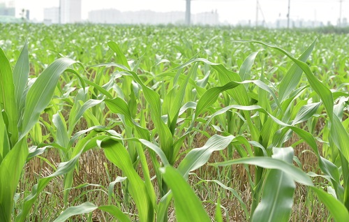 1666934009284134.png image.png