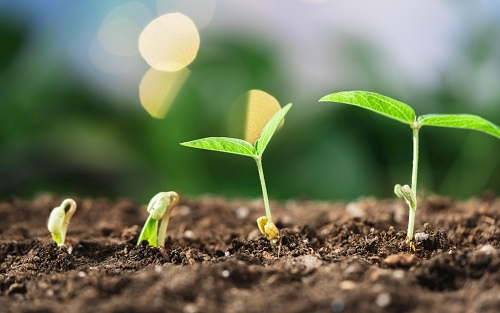 1667547228630686.png image.png