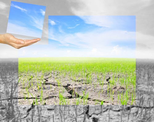 1672379696211878.png image.png