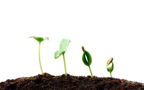 1672901038204830.png image.png