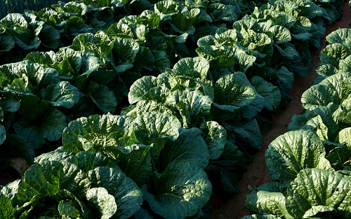 1675144801121874.png image.png