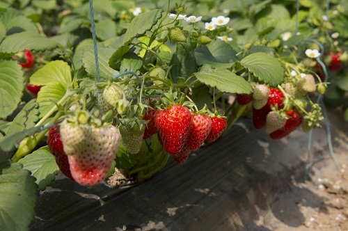 1675834249186002.png image.png