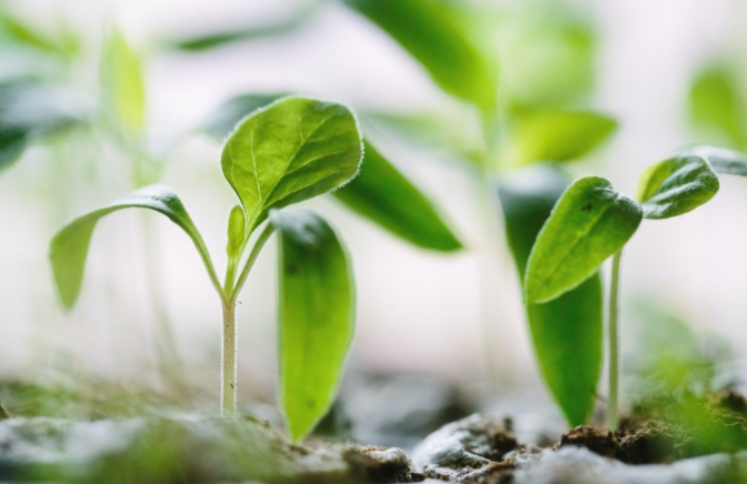 1680850333185754.png 土壤水分測定儀原理