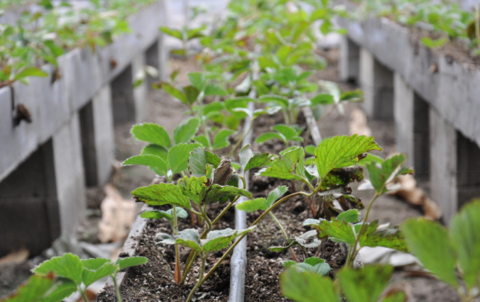 1685067246111921.png 土壤墑情監(jiān)測站